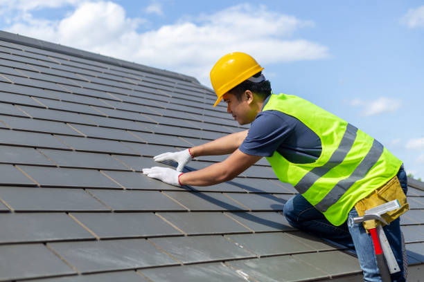 Best Roof Leak Repair  in Newbern, TN
