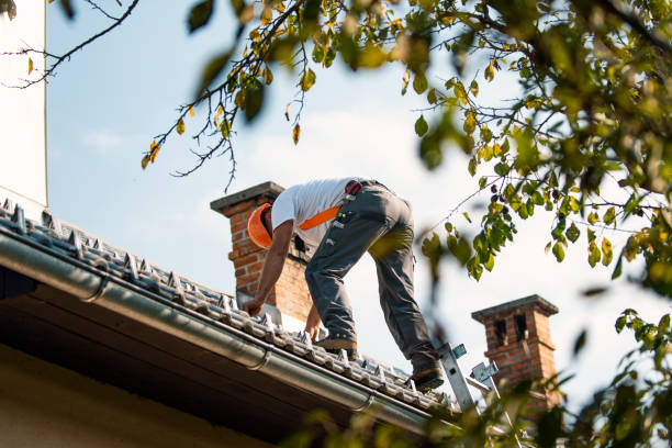 Best Commercial Roofing Services  in Newbern, TN